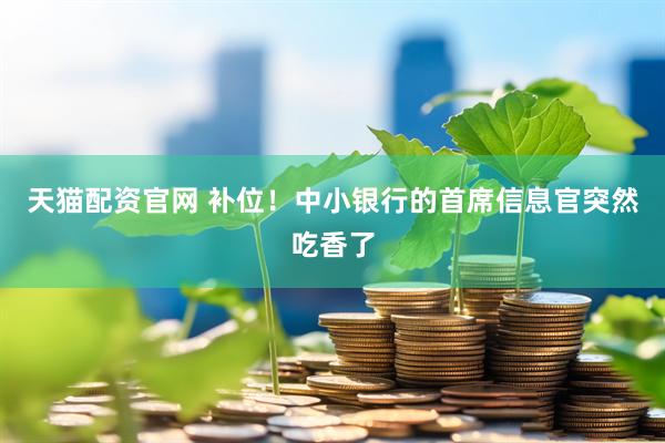 天猫配资官网 补位！中小银行的首席信息官突然吃香了