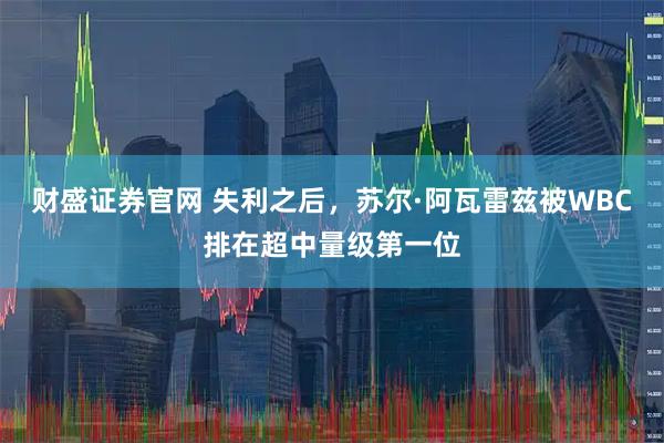 财盛证券官网 失利之后，苏尔·阿瓦雷兹被WBC排在超中量级第一位