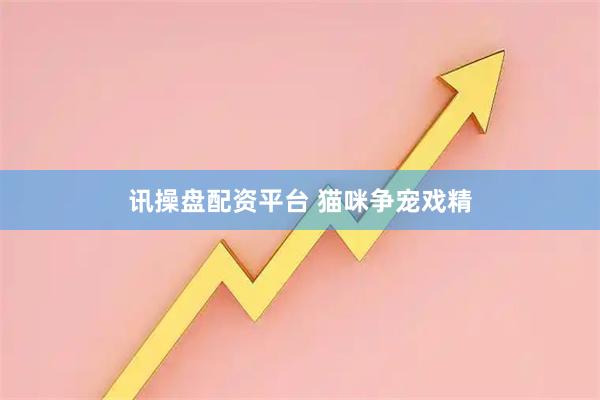 讯操盘配资平台 猫咪争宠戏精
