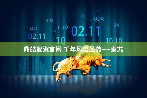 鼎皓配资官网 千年风湿圣药——秦艽